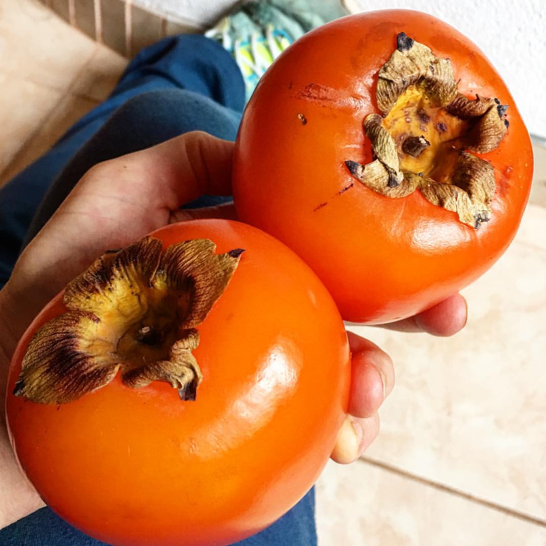 How To Eat Raw Food On Vacation The Whole Lifestyle